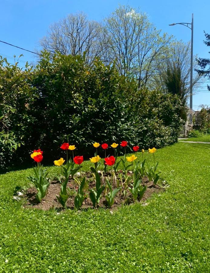 Cvjetni Apartmani Cetinje Exterior foto