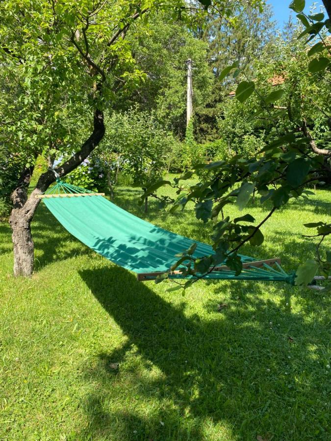 Cvjetni Apartmani Cetinje Exterior foto