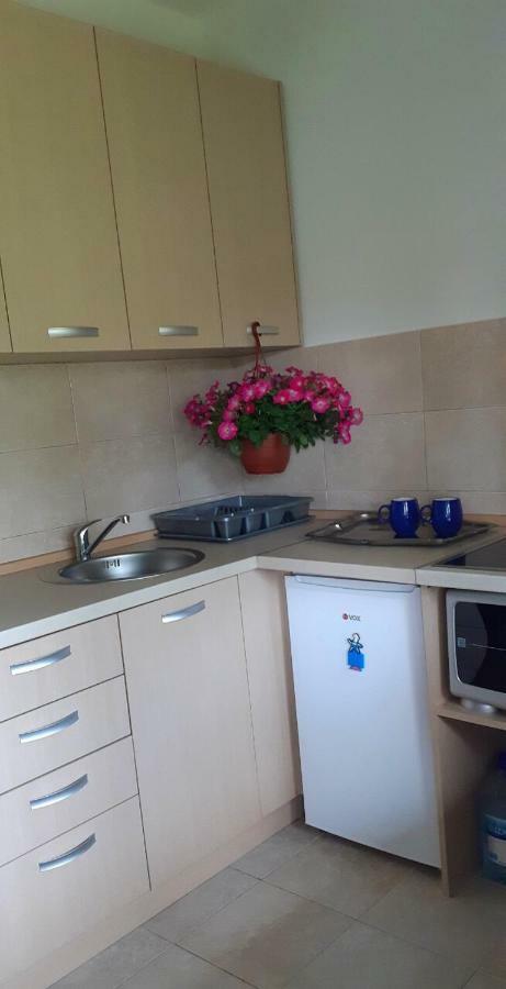Cvjetni Apartmani Cetinje Exterior foto