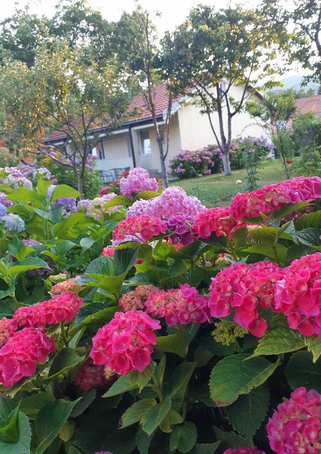 Cvjetni Apartmani Cetinje Exterior foto